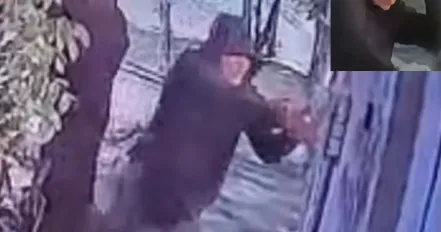 Mexican environmentalist recounts surviving assassination attempt as new report documents 10 activist killings