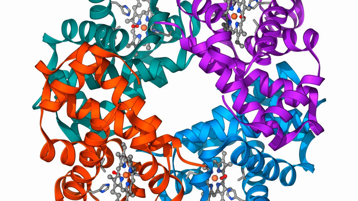 Gene editing shows clinical promise for β-thalassaemia in new trial results
