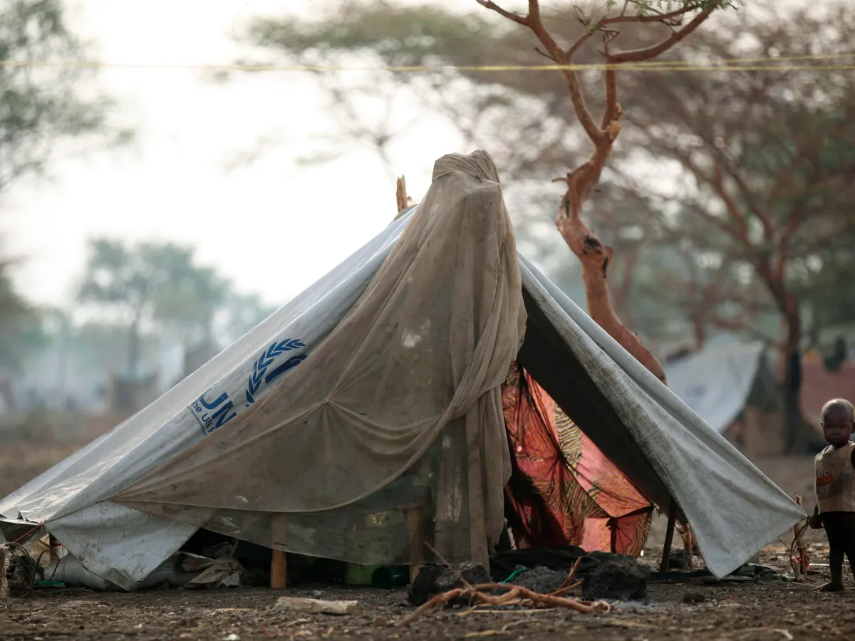 Sudan's army snatches back key border town from RSF in Blue Nile state