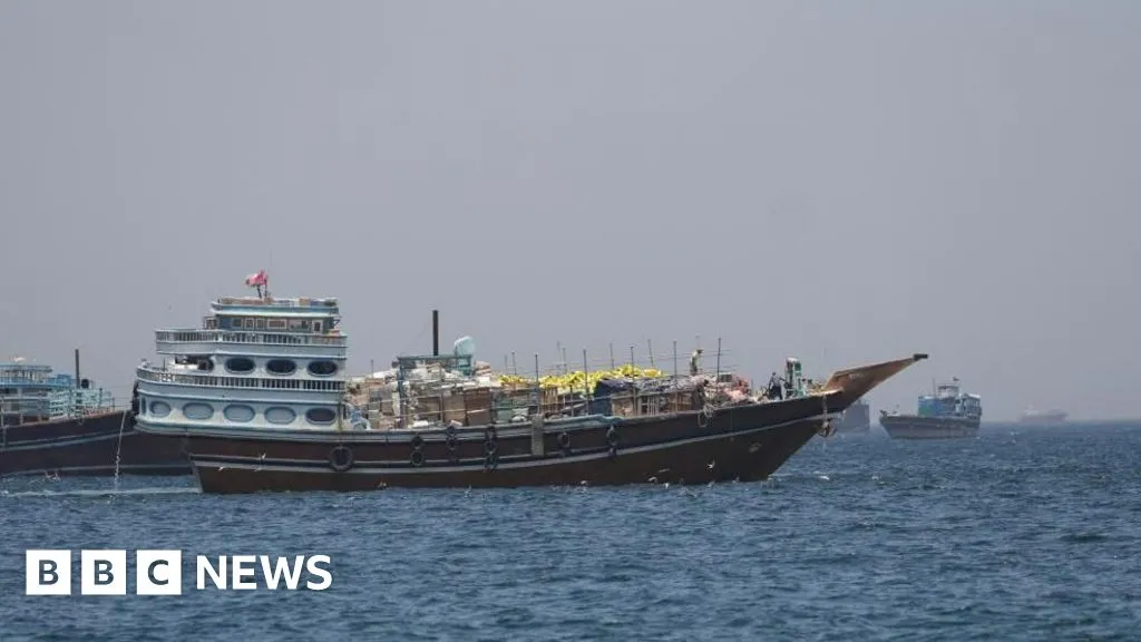 Trump's 'Project Freedom': what we know about the US operation in the Strait of Hormuz