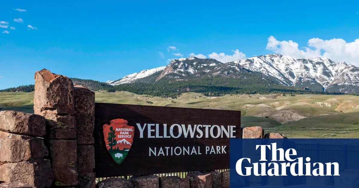Yogi Bear is NOT having a good time: Trump opens up 55 national parks and refuges to more hunting