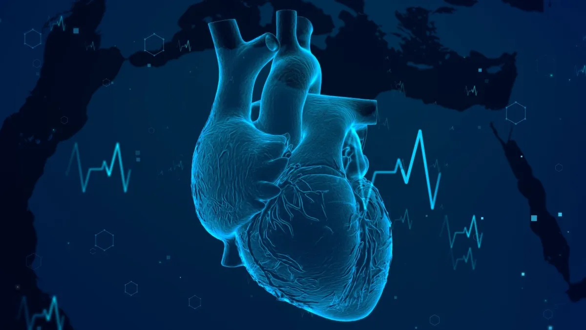 Chinese scientists grew a tiny beating heart conductor in a lab and it might make pacemakers obsolete