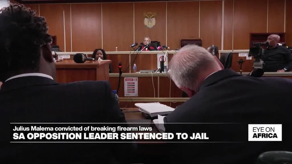 South Africa's Julius Malema sentenced to five years in prison on firearm charges