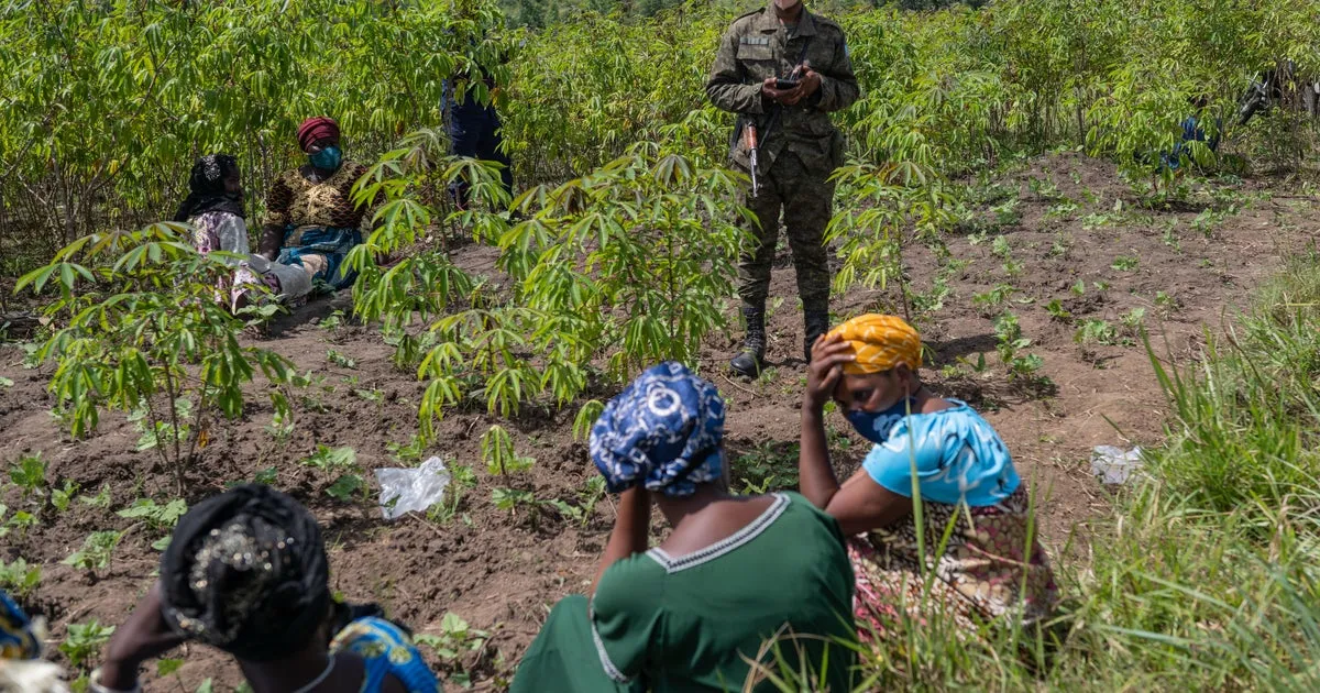 Congolese residents set fire to Ebola treatment center because apparently 2019 had more surprises