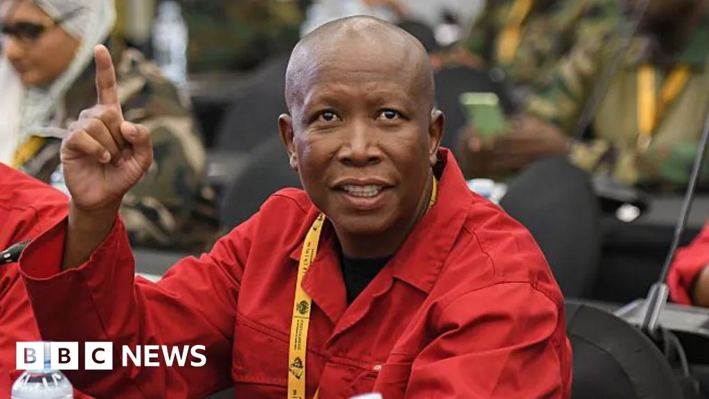 South Africa's Julius Malema faces uncertain political future after five-year prison sentence