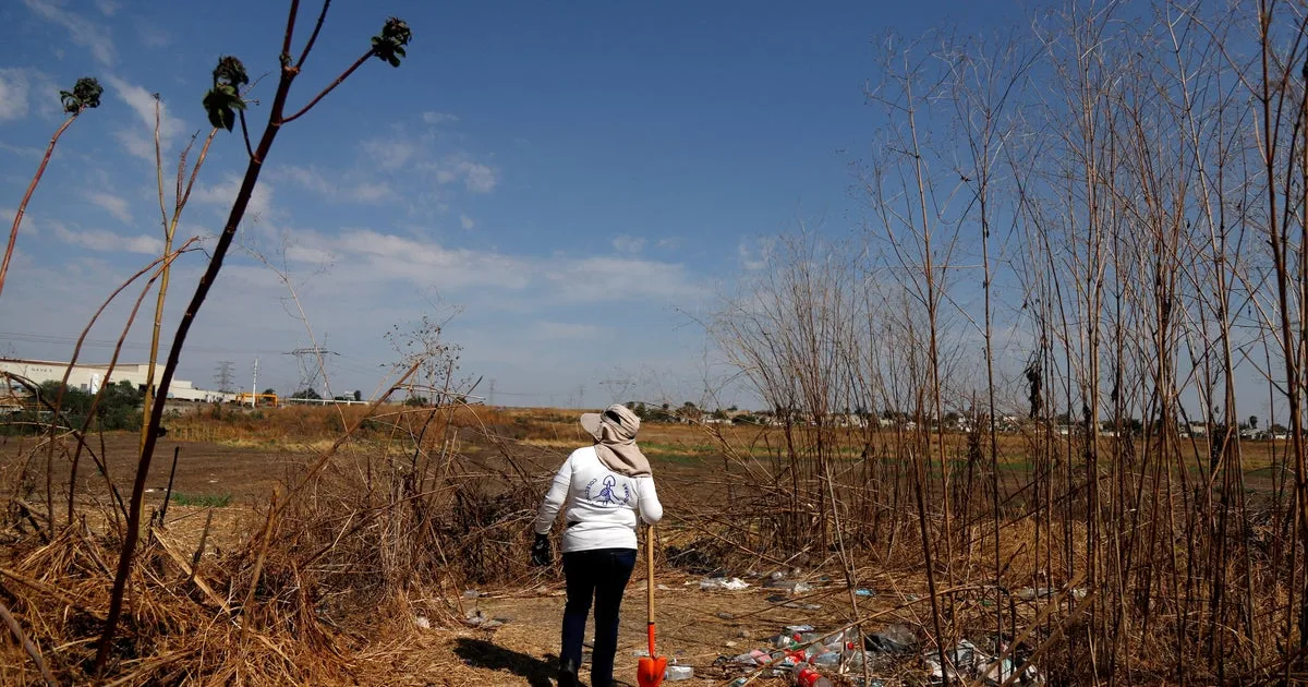 Bodies of at least 11 people found in hidden graves in western Mexico