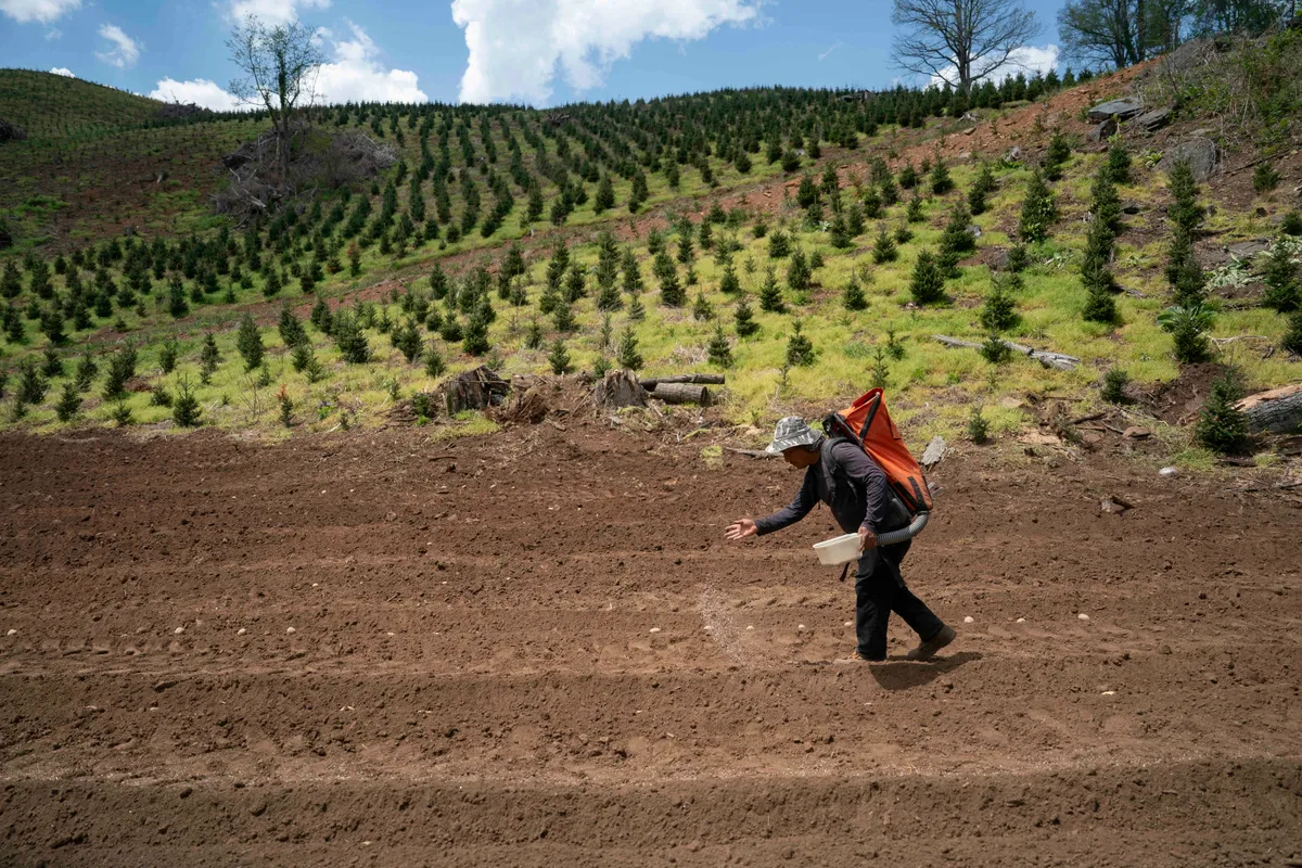 Yes, the Iran war might make your salad more expensive - but probably not by much